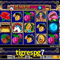 tigrespg7 Salvador - Bonus Stats